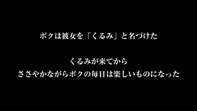 【VR】【8KVR】DOLL 性処理専用愛玩人形 夢なら夢のままでいて欲しい…独りよがりなボクと無抵抗なさくらの夢のような日常 胡桃さくら 鬼滅ｗｗｗ