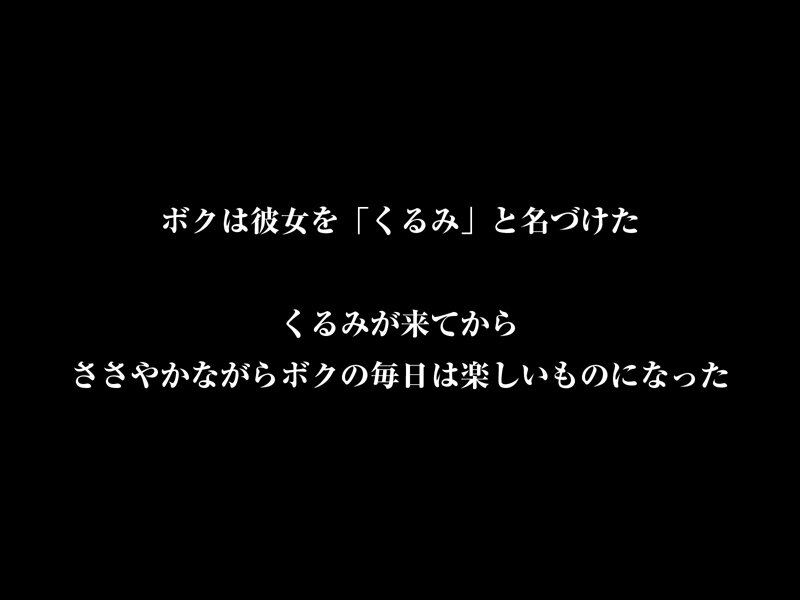 【VR】【8KVR】DOLL 性処理専用愛玩人形 夢なら夢のままでいて欲しい…独りよがりなボクと無抵抗なさくらの夢のような日常 胡桃さくら 鬼滅ｗｗｗ